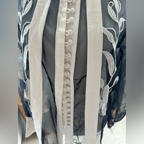 Vici Venetian Embroidered Statement Blouse Feminine Sheer Preppy Ethereal Sz M - Picture 4 of 13